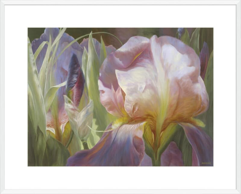 Perrenial Beauties - 10cm Mount Board Box White