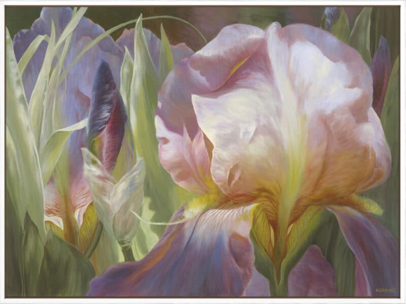 Perrenial Beauties - Canvas Gallery White