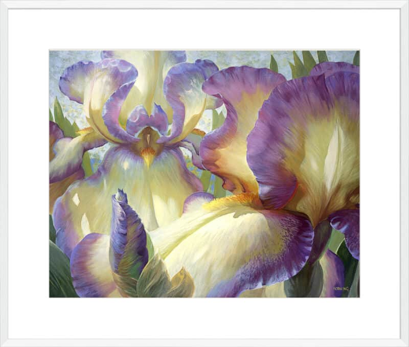 Port Townsend Garden - 10cm Mount Board Box White