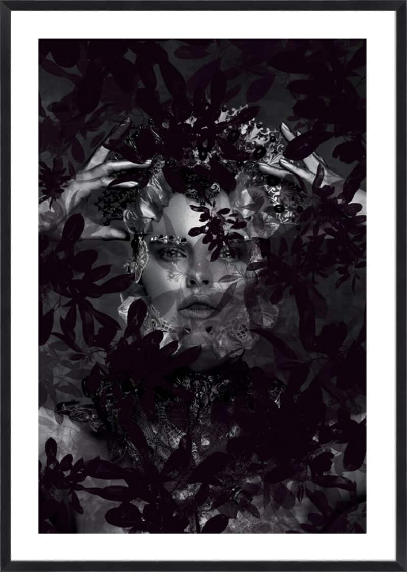 Sophie 1 - 5cm White Border Box Black