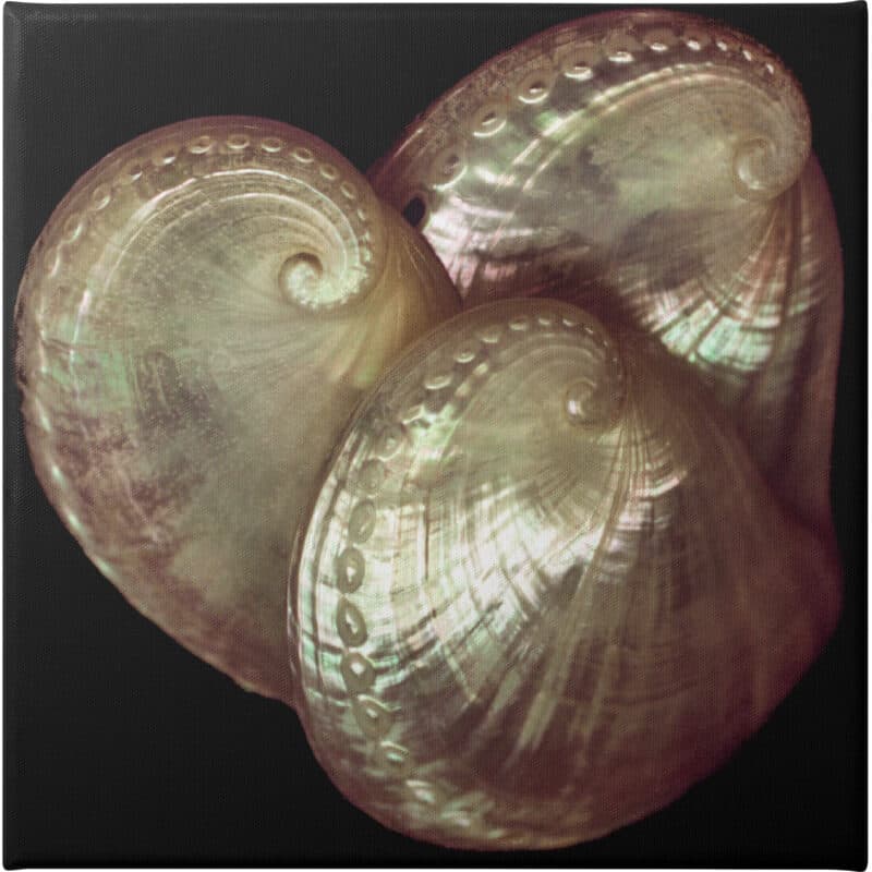 Swirls and Curls - Unframed Canvas Unframed Canvas