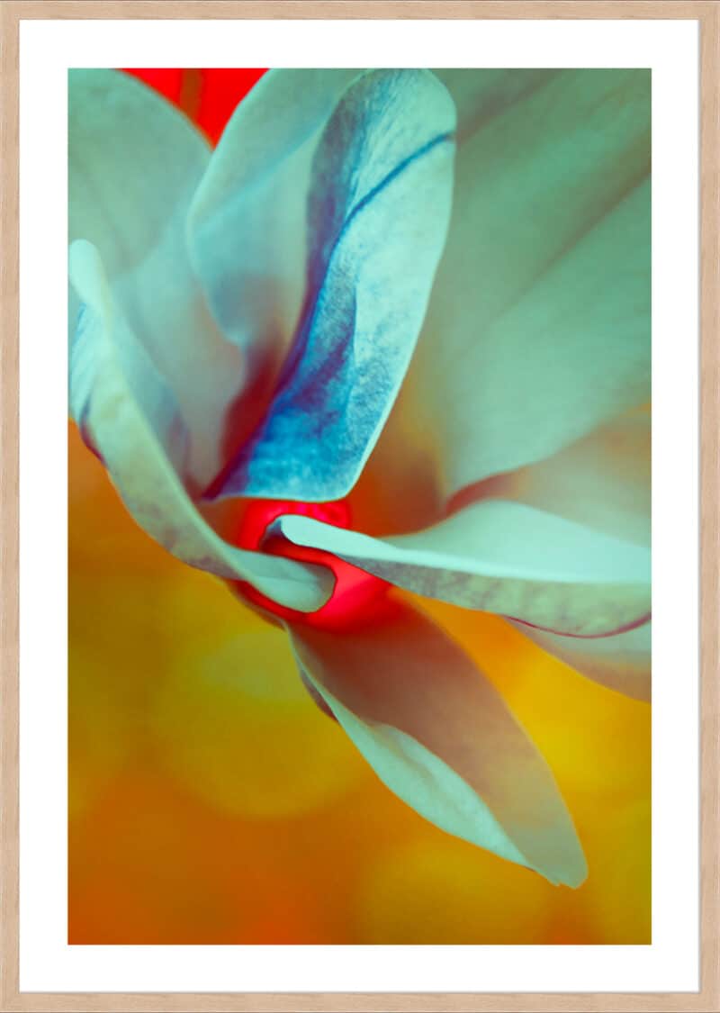 Teal Splash - 5cm White Border Box Natural