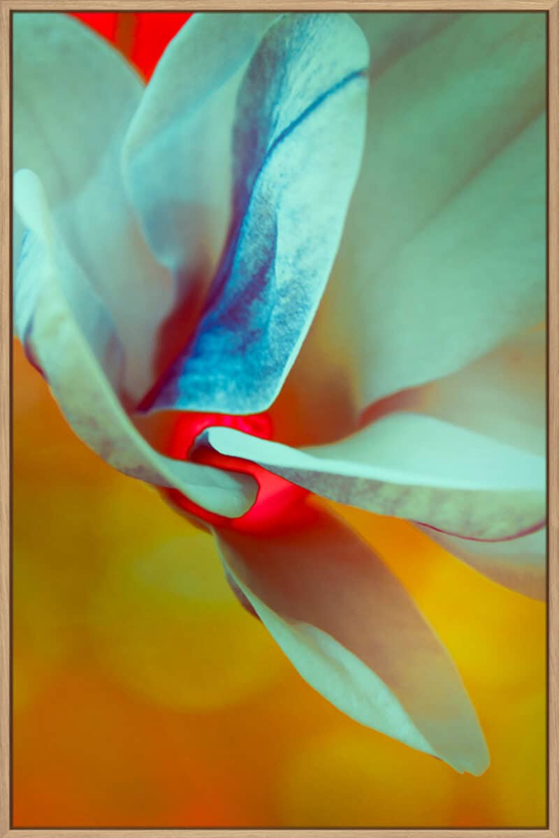 Teal Splash - Canvas Gallery Natural