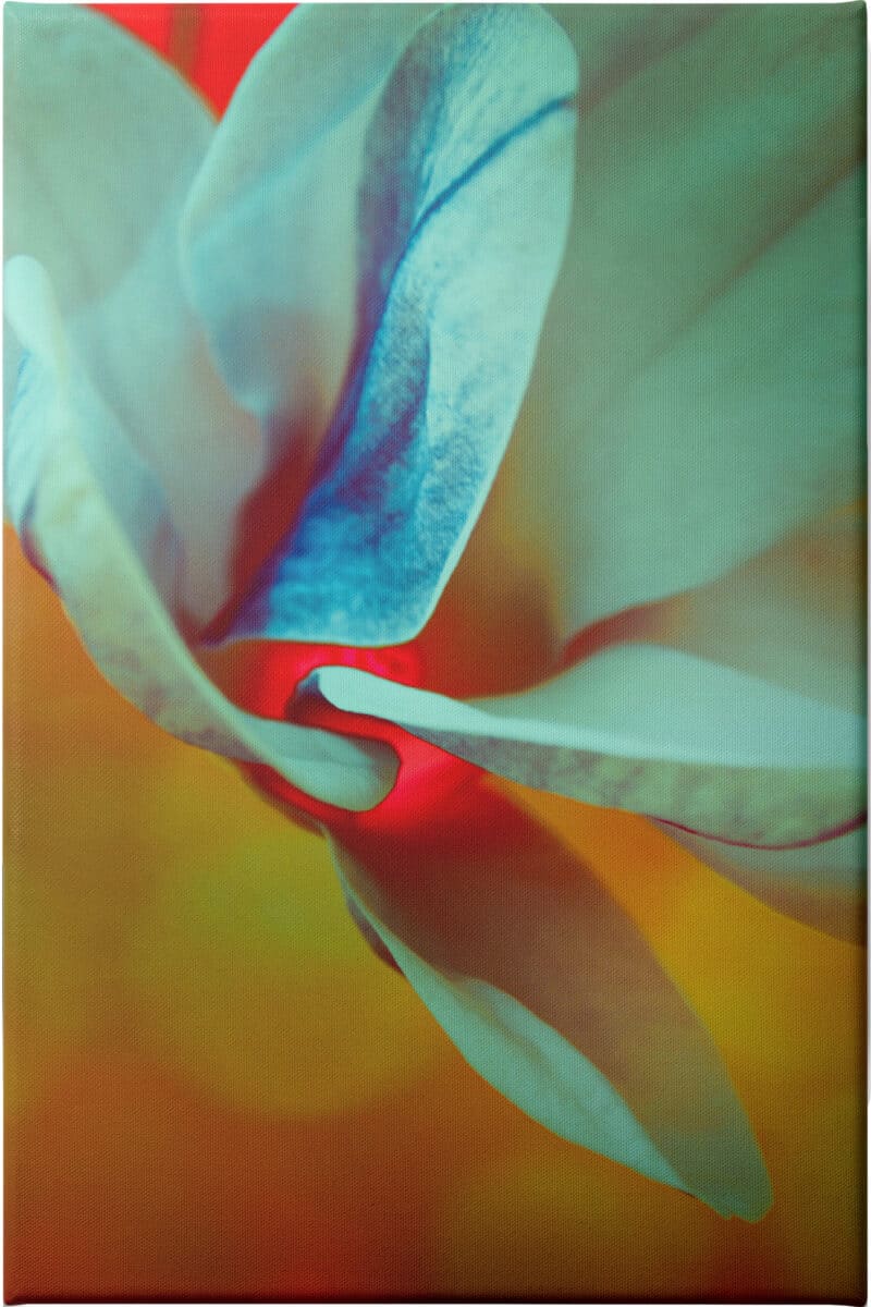 Teal Splash - Unframed Canvas Unframed Canvas