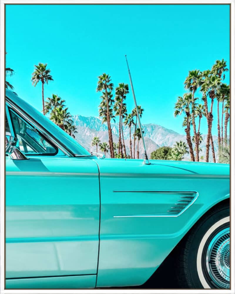Teal Thunderbird in Palm Springs - Canvas Gallery White