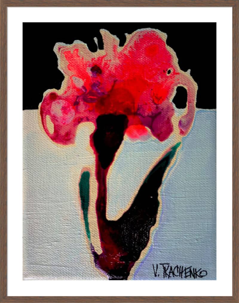 Tiny Red - 5cm White Border Box Walnut