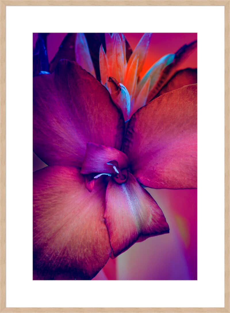 Unconditional Love - 10cm Mount Board Box Natural