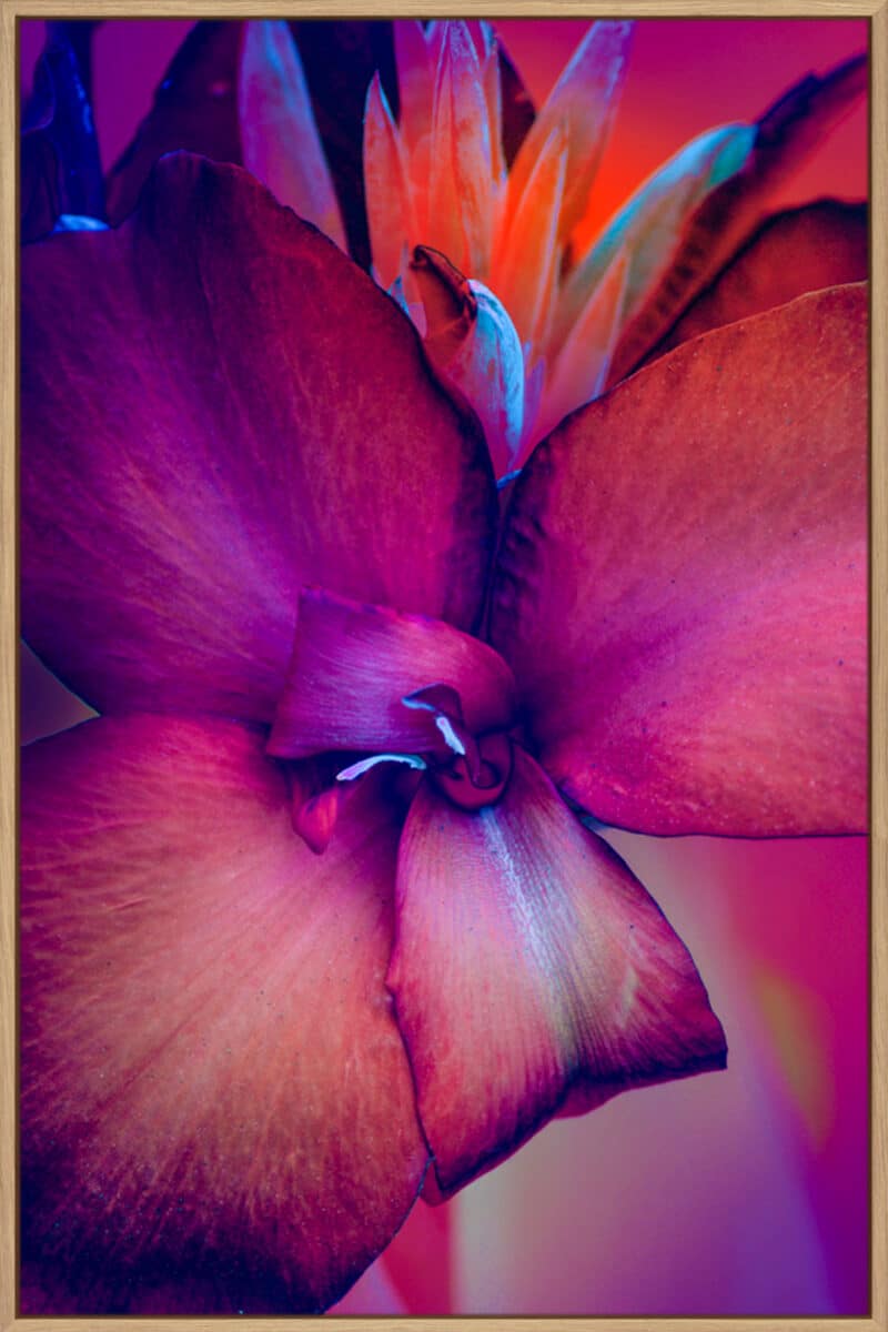 Unconditional Love - Canvas Gallery Natural