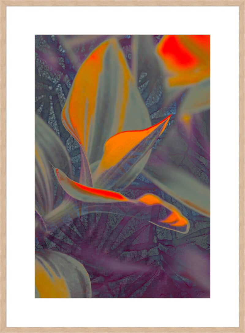 Untitled 11 - 10cm Mount Board Box Natural