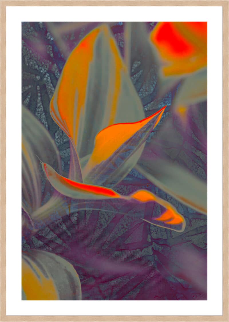 Untitled 11 - 5cm White Border Box Natural