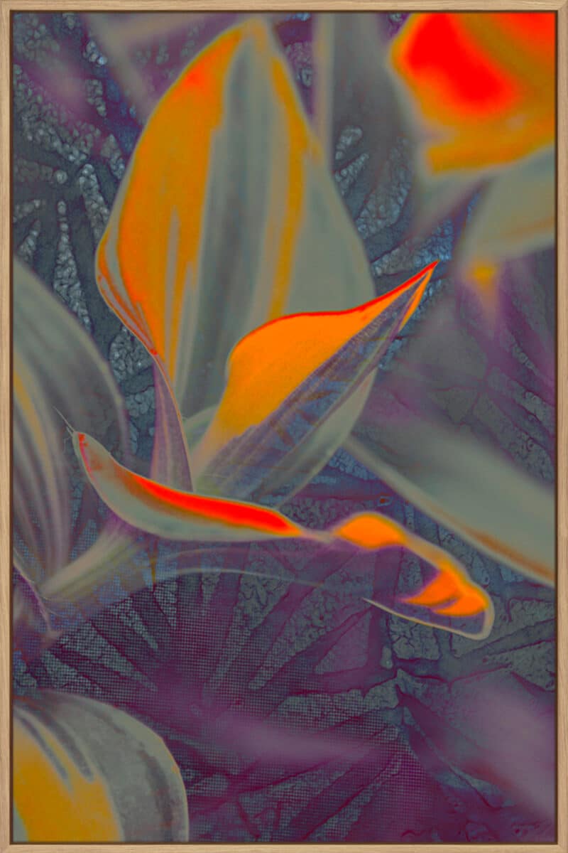 Untitled 11 - Canvas Gallery Natural