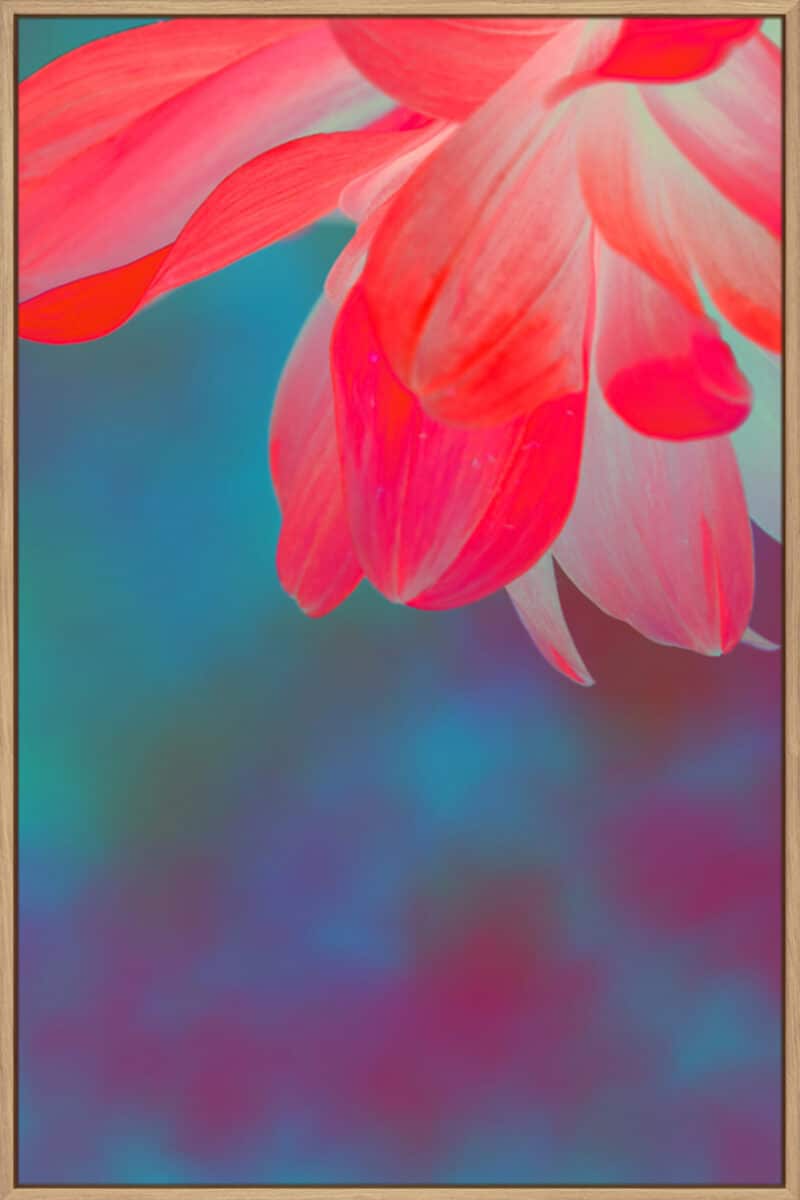 Weightless - Canvas Gallery Natural