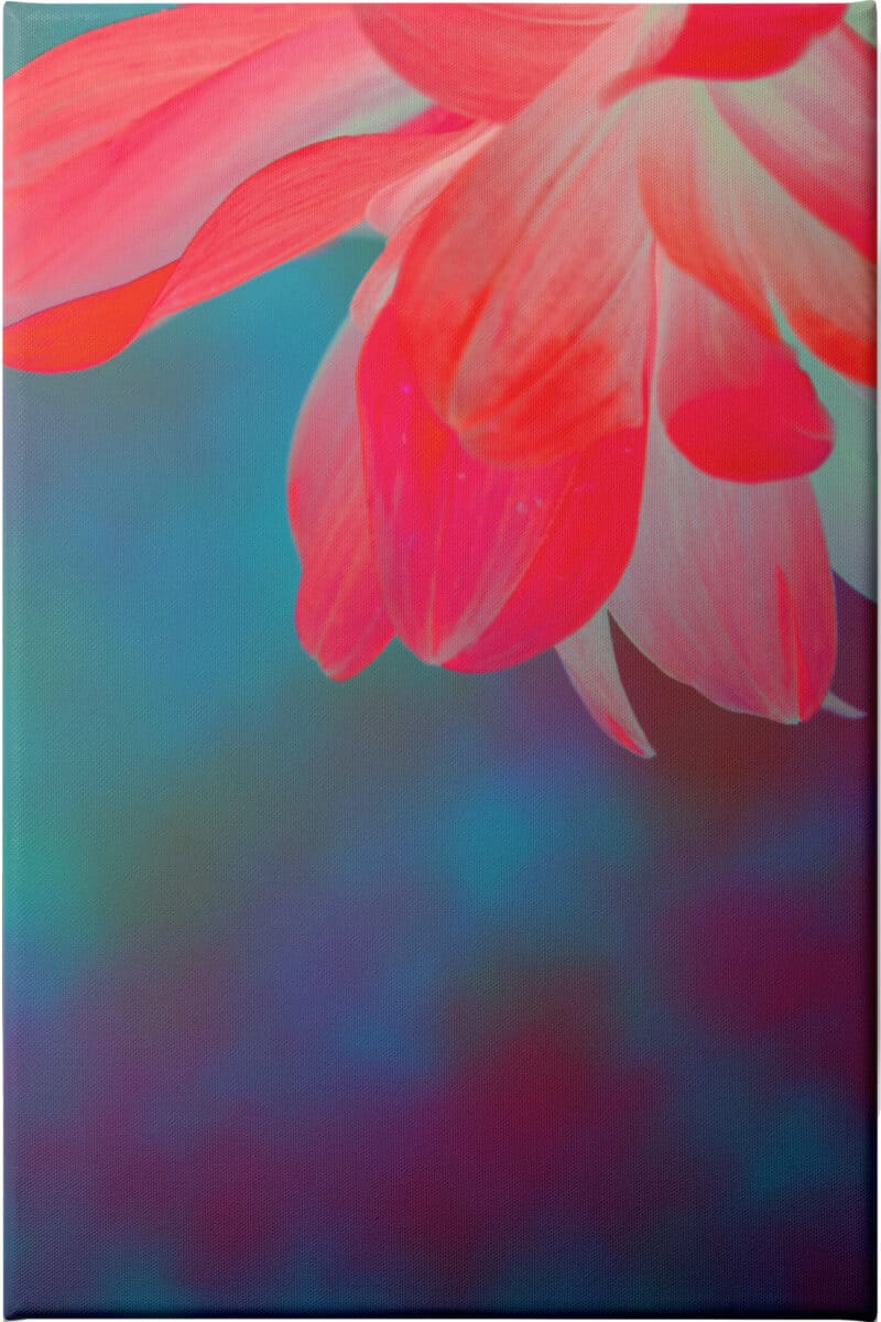 Weightless - Unframed Canvas Unframed Canvas