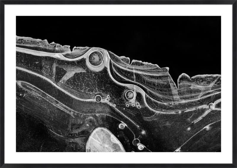 Winter's Veil #23 - 5cm White Border Box Black