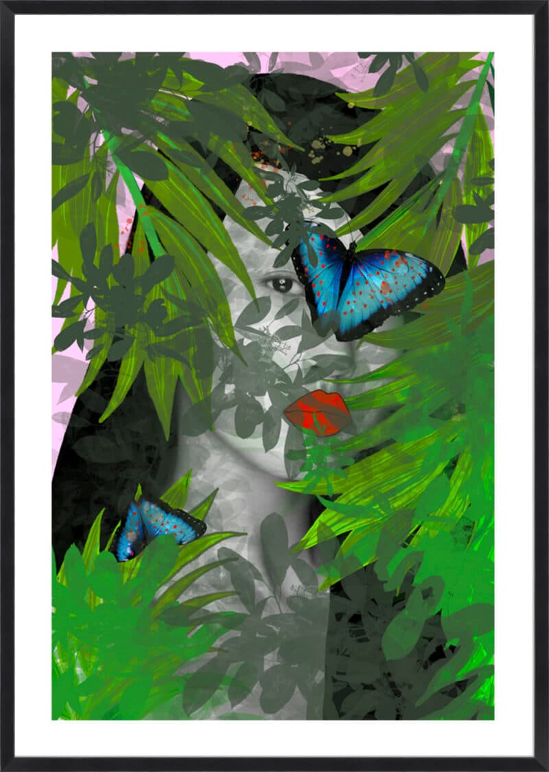 Zoe Butterfly - 5cm White Border Box Black